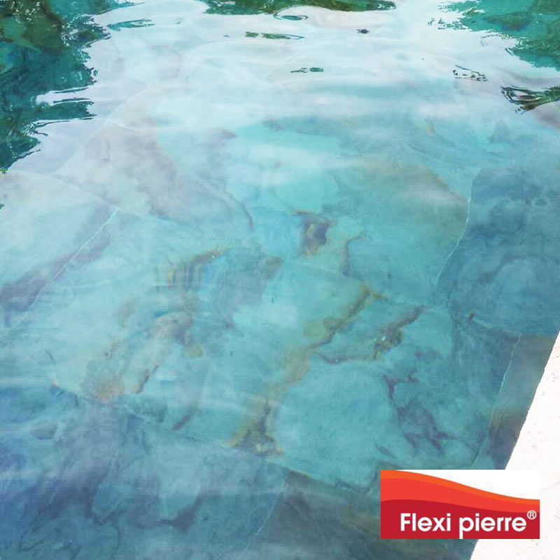 En bassin de piscine, feuille de pierre 'Pierre de Lune'