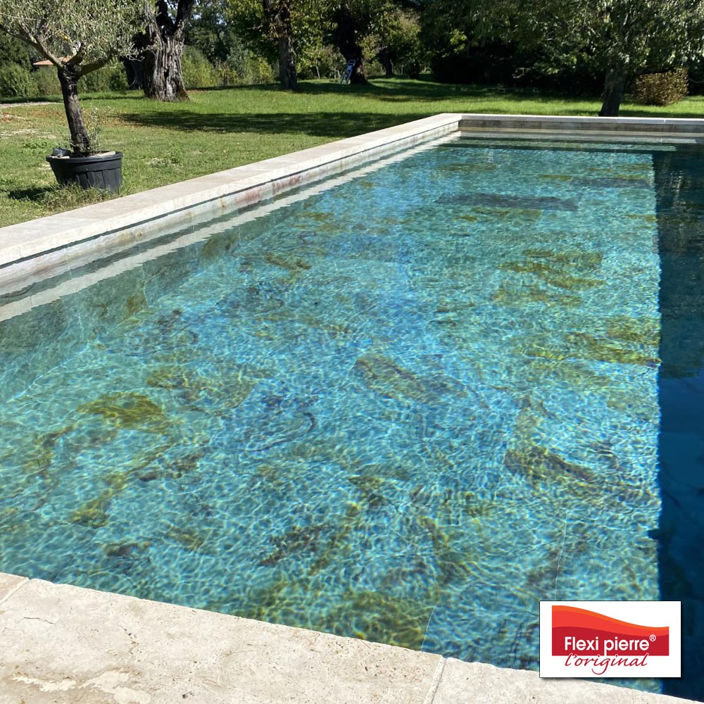 Feuille de pierre, en extérieur, bassin de piscine, preuve s'il en faut, de la résistance du produit aux intempéries!